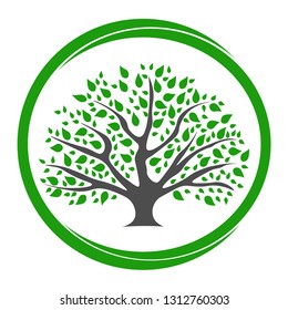 Logo of a tree with round green foliage. The image of the trunk, fresh leaves in a round frame.