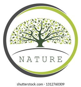 Logo of a tree with round green foliage. The image of the trunk and leaves in three shades of green on the background of the horizon, on the ground, in a round frame. Below the horizon line.