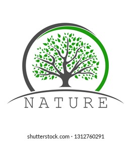 Logo of a tree with a rounded crown. The image of the trunk, green leaves on the background of the horizon in a round frame. Below the horizon line is an inscription, slogan or company name.