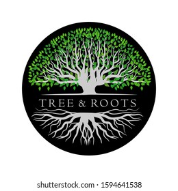 Logo Trees and roots, tree with a circle shape with beautiful green leaves. Mangrove trees with white background, vector