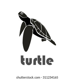 Logo turtle