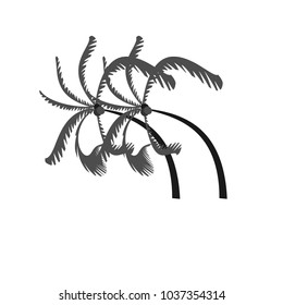 Logo of two coconut trees in black and gray