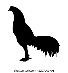 A logo using a chicken silhouette gives an elegant impression