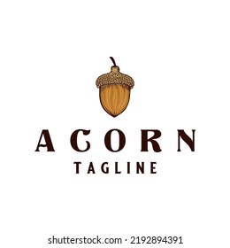 Logo Vector design Illustration of acorns. acorn concept in vintage style, for any kind of business.