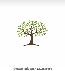 Logo vector element of ecological nature of green tree leaves