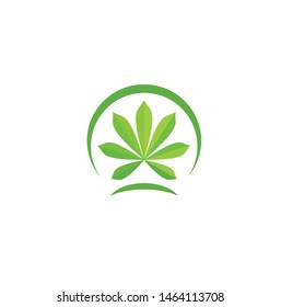 logo vector graphic cassava leaf tropical green natural