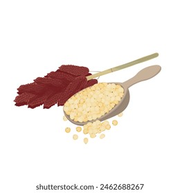 Logo Vector illustration Dried Sorghum bicolor or great millet