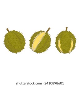 Logo Vector illustration of fresh durian fruit