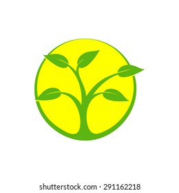Logo. Vector. Tree.