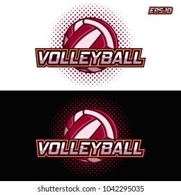 logo of a volleyball with the image of colored ball on the black and white background