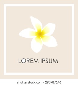 Logo with white tropical frangipani flower on sandy beige background in the square
