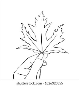 Logo of woman hand holding maple leaf in a minimal linear style. Vector hand drawn outline black  illustraation isolated on white background.
