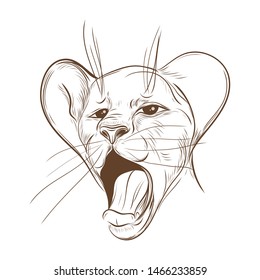 logo yawning lion, little lion.