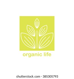 Logo young plant. Vector. Isolated.