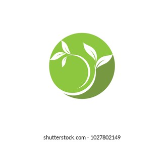 Logos of green leaf ecology nature element vector icon