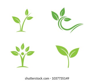Logos of green leaf ecology nature element vector icon