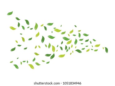 Logos of green leaf ecology nature element vector icon