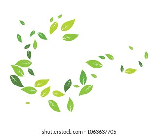 Logos of green leaf ecology nature element vector icon