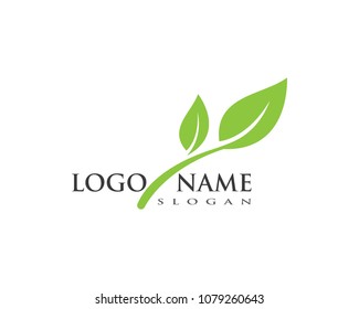 Green Leaf Logo Design Four Leaves Stock Vector (Royalty Free ...