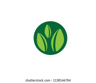 Logos of green leaf ecology nature element vector icon
