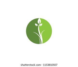 Logos of green leaf ecology nature element vector icon