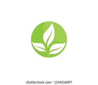 Logos of green leaf ecology nature element vector icon