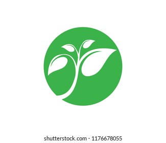 Logos of green leaf ecology nature element vector icon