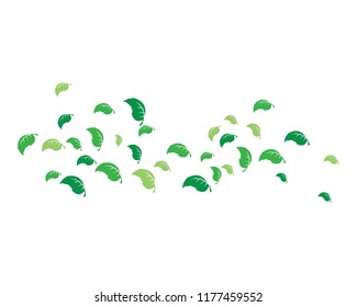 Logos of green leaf ecology nature element vector icon