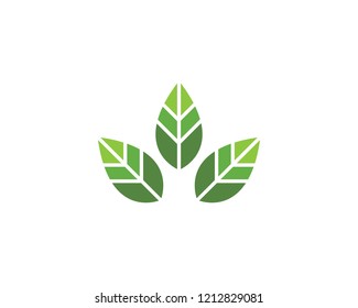 Logos of green leaf ecology nature element vector icon