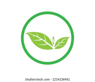 Logos of green leaf ecology nature element vector icon