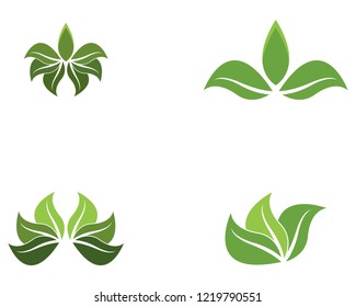 Logos of green leaf ecology nature element