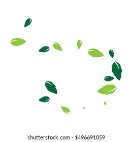 Logos of green leaf ecology nature element vector icon