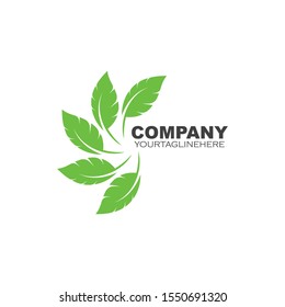 Logos of green leaf ecology nature element vector icon