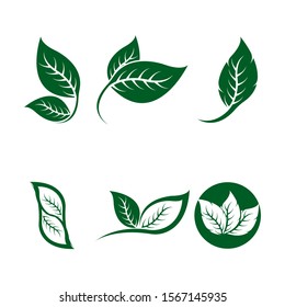 Logos of green leaf ecology nature element vector icon
