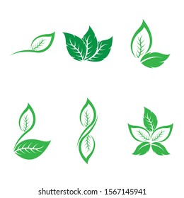 Logos of green leaf ecology nature element vector icon
