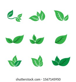 Logos of green leaf ecology nature element vector icon
