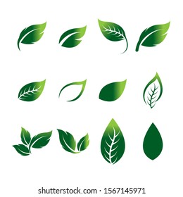 Logos of green leaf ecology nature element vector icon
