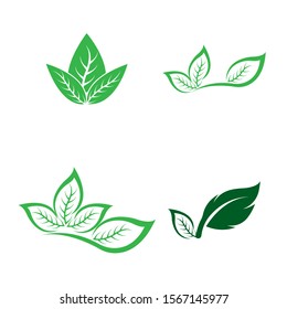 Logos of green leaf ecology nature element vector icon
