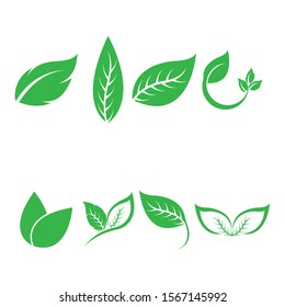 Logos of green leaf ecology nature element vector icon
