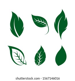 Logos of green leaf ecology nature element vector icon
