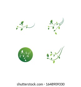 Logos of green leaf ecology nature element vector icon