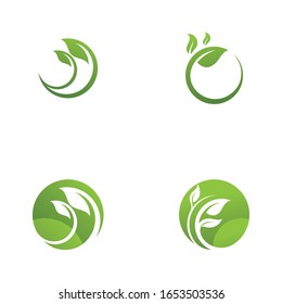 Logos of green  leaf ecology nature element vector
