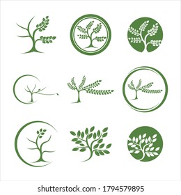 Logos of green leaf ecology nature element vector icon