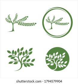 Logos of green leaf ecology nature element vector icon