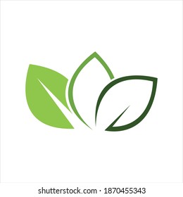 Logos of green leaf ecology nature element vector icon