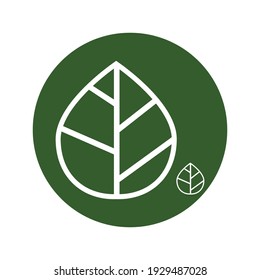 Logos of green leaf ecology nature element vector icon