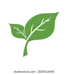 Logos of green leaf ecology nature element vector icon