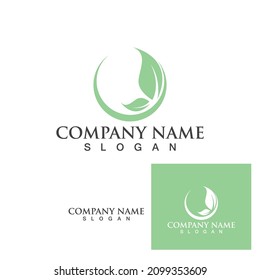 logos of green leaf ecology nature element vector