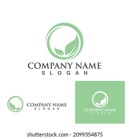 logotipos de ecología de hoja verde elemento de naturaleza vector