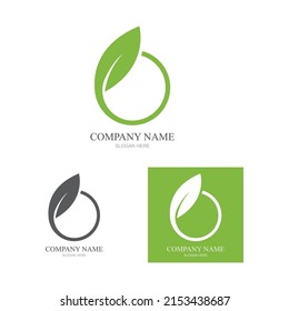 Logos of green leaf ecology nature element vector icon